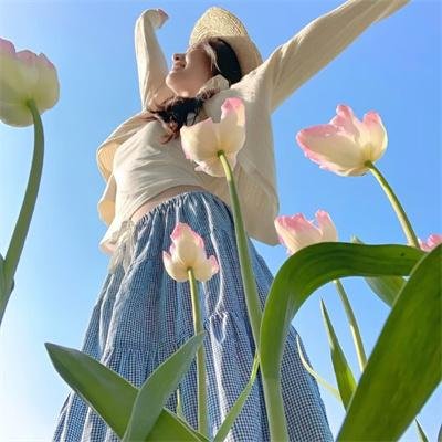 警花燕子