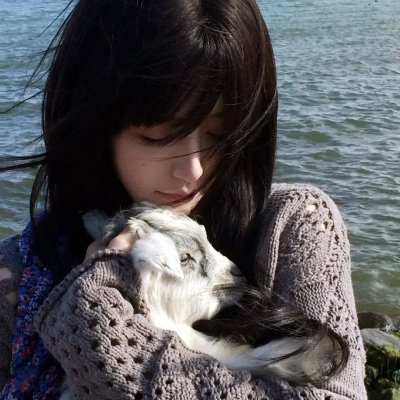 进击巨人大战无敌猛鲨